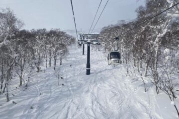 スキー場のゴンドラからの景色